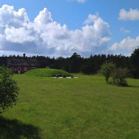 Vii * Ulfborg